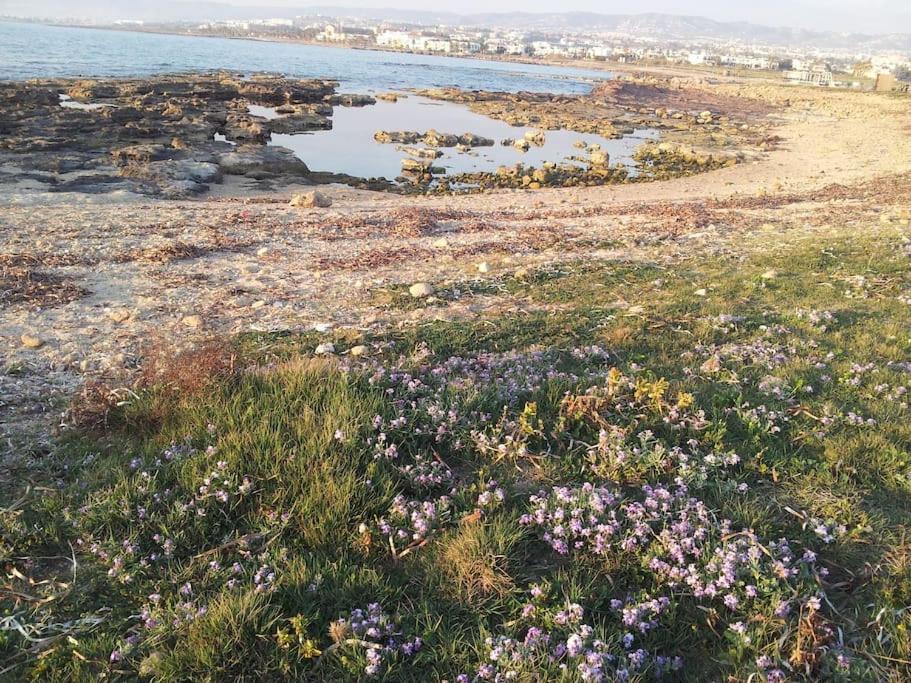 A Stone'S Throw From Everything Paphos 外观 照片